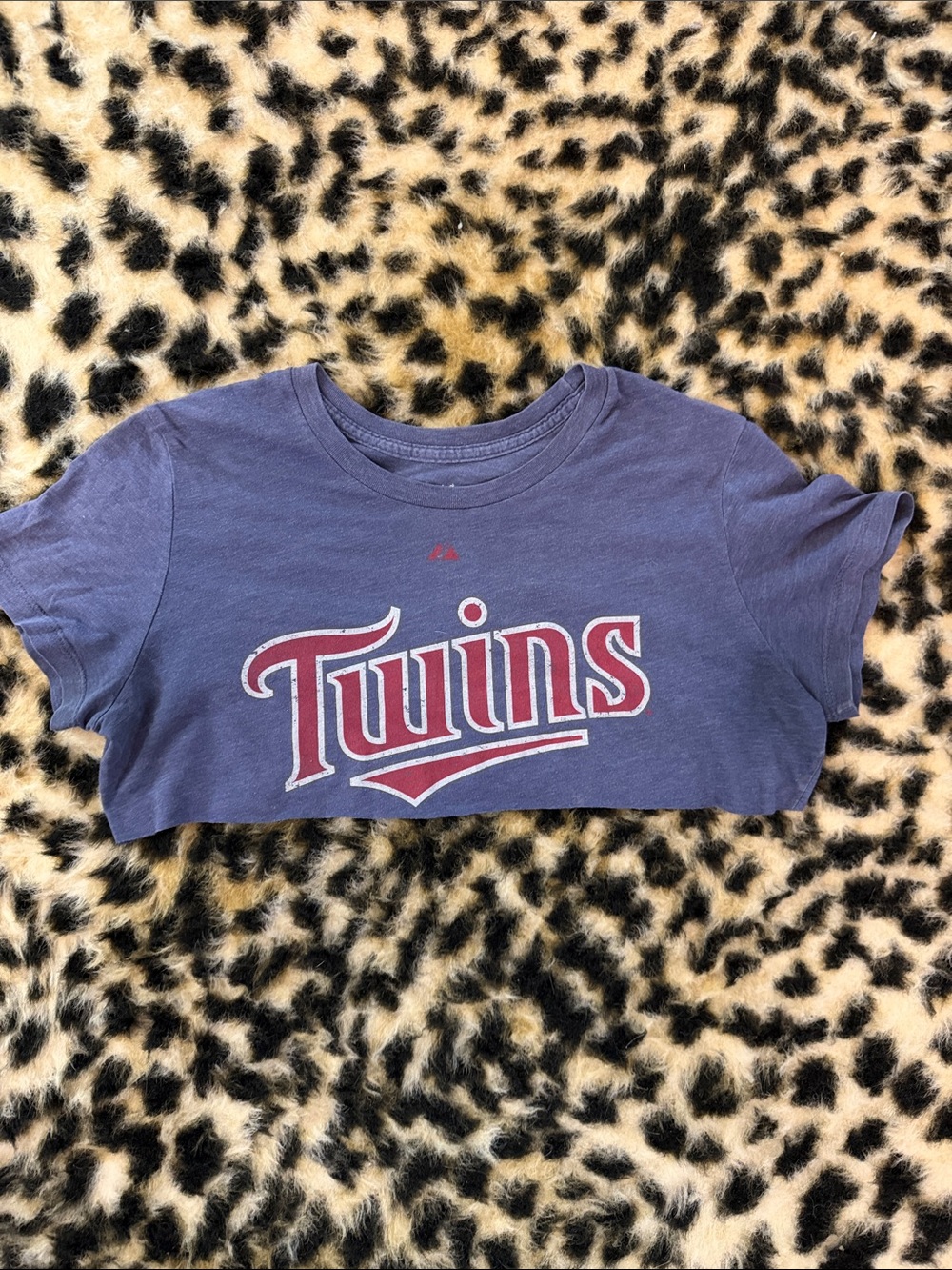 Blue Short-Sleeve Tee cropped with 'Twins' Graphic